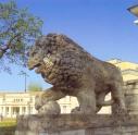 The country estate of  Marino. Sculpture of a lion.
