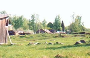 Zhalnik (burial ground ); (Betkovo Village, Luga district)