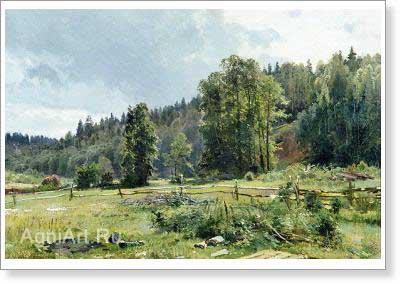 I.I. Shishkin. Meadow at the Edge of Forest. Siverskaya. 1887