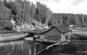 Siverskaya mill in the River Oredezh. Photograph of  the early  20th cent.