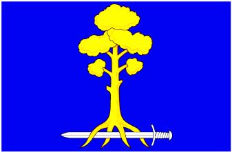 Flag of Sertolovo