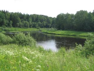 The River Pasha near Ratilovo Village