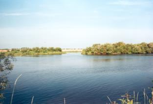 The River Luga
