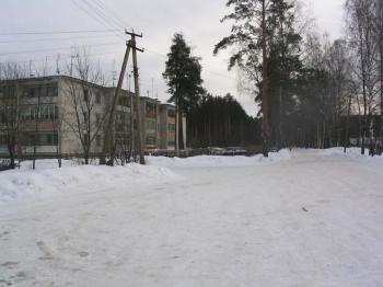 Tsvelodubovo Village