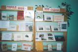 The Pikalevo Town Central Library. The book exhibition  devoted to the Day of Town
