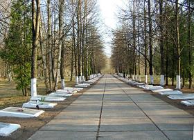 Городской поселок Синявино. Аллея на братском кладбище советских воинов, павших в годы Великой Отечественной войны
