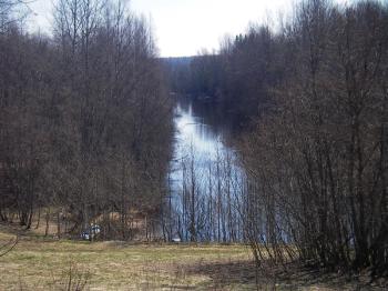 The River Lid  near Radogoshch Village