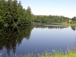 The River Oredezh  near Rozhdestveno Village