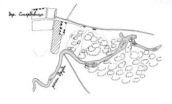 Smerdovitsy country estate. Plan (1870)