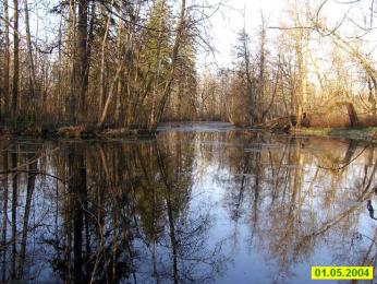 Trubnikov Bor country estate. Big Pond with the seven islands