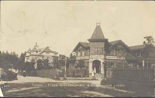 Taytsy Village. The corner  of Aleksandrovskaya Street and Bondyreva Street. Photograph of 1904-1913