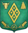 Volosovo district  coat of arms