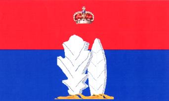 Флаг города Всеволожска